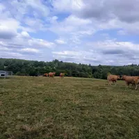 élevage herbager français