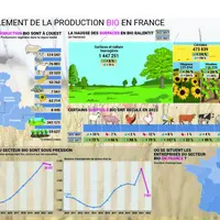 Infographie sur le bio parue en octobre 2023 dans votre magazine Les Marchés Mag