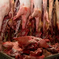 Sobevir, abattoir et atelier de découpe dans les Ardennes. Production de viande porcine et autre. carcasse de porc française. carcasses de porcs. appr