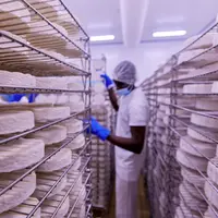 industrie agroalimentaire fromagerie