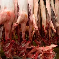 Sobevir, abattoir et atelier de découpe dans les Ardennes. Production de viande porcine et autre. carcasse de porc française. carcasses de porcs. appr