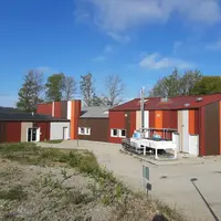 abattoir