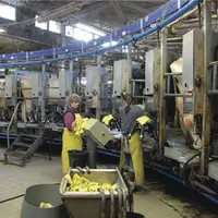 Salle de traite à la coopérative