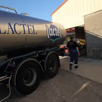 Lait