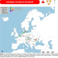 capture carte cas de grippe aviaire