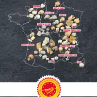 logo AOP et carte des fromages sous appelation