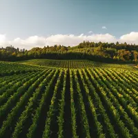 Bio