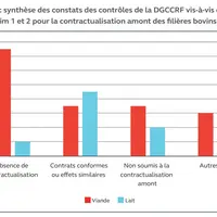 Graph Cour des comptes