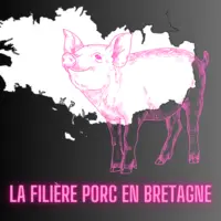 carte de bretagne et cochon