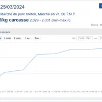Capture cotation du porc
