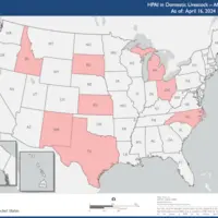 Carte des états ayant rapporté des cas de grippe aviaire chez des bovins