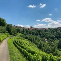 paysage allemand de vignes
