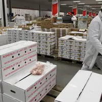 vente en gros de viande a rungis
