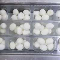 oeufs durs en usine