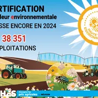 infographie sur la HVE