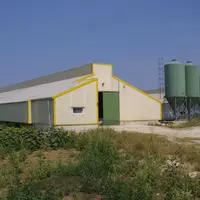 bâtiments volaille