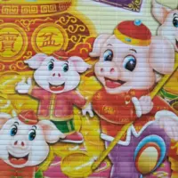 image de l'année du cohcon en chine