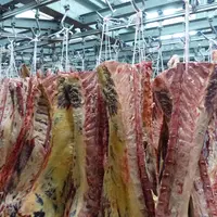 Quartiers de viande à l'abattoir
