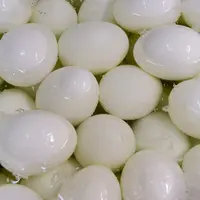 oeufs dur dans une bassine