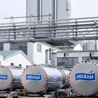Camions de collecte du lait à la laiterie allemande DMK. agro-industrie. industrie agroalimentaire. marque allemande Milram.
