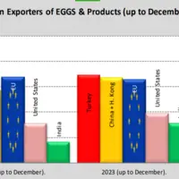 histogramme exportations