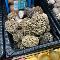 Morilles