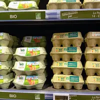 Rayon œufs bio en grande distribution