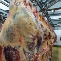 quartier de boeuf en abattoir