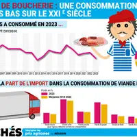 infographie sur la consommation de viande des Français