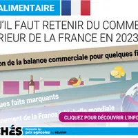 vignette infographie