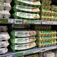 rayon oeuf en gms