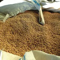 sac de soja