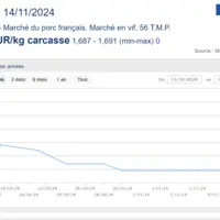 prix porc 14112024