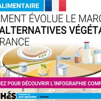 extrait de l'infographie sur les ventes d'alternatives végétales