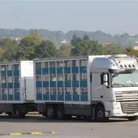 transport terrestre animaux
