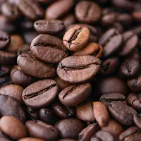 café arabica