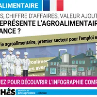 infographie sur un panorama de l'agroalimentaire français
