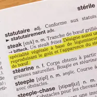 fausse page de dictionnaire