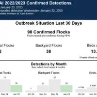tableau et graphiques de l'usda sur la grippe aviaire