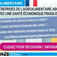 Infographie sur la santé économique des entreprises de l'agroalimentaire
