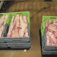 caisse de sous produits de porc