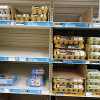 rayon oeuf en supermarché
