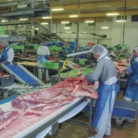 usine de transformation de porc