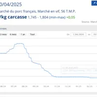 Cours du porc sur un an en France 2024/2025