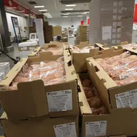 Stock de poulets pour la vente