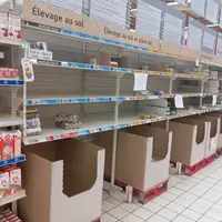rayon oeuf vide en gms