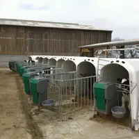 petits veaux dans des niches devant une exploitation agricole
