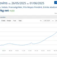 Graphique du prix moyen pondéré des gros bovins