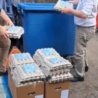 capture vidéo de gens mettant des oeufs à la poubelle