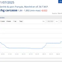 le cours du porc français entre aout 2024 et aout 2025